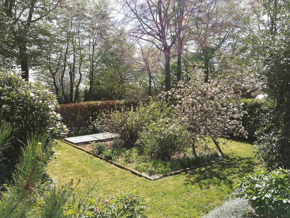 Roder Am Eifelsteig Villa Monschau Dış mekan fotoğraf